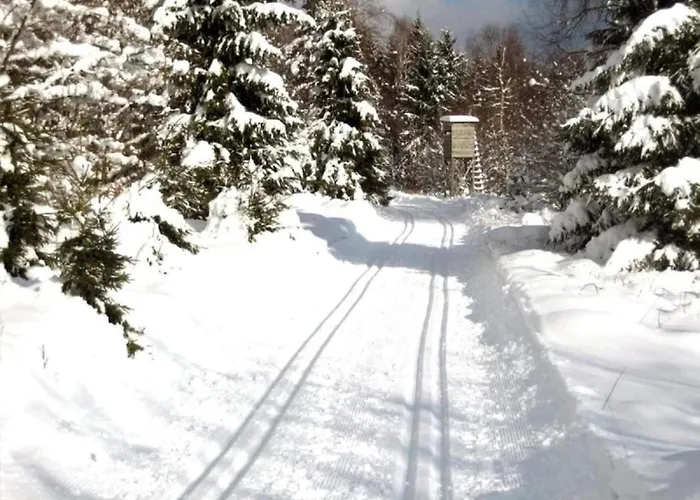 Apartman Entspannender Skiurlaub In Braunlage